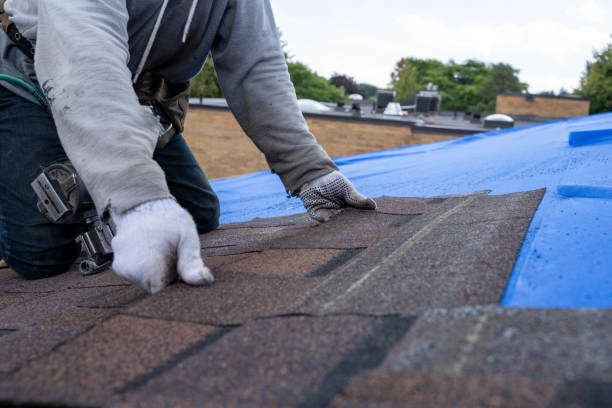 Best Commercial Roofing Services  in Puxico, MO